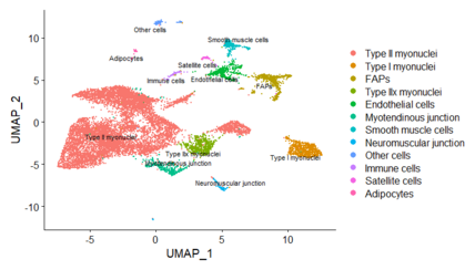 snRNAseq